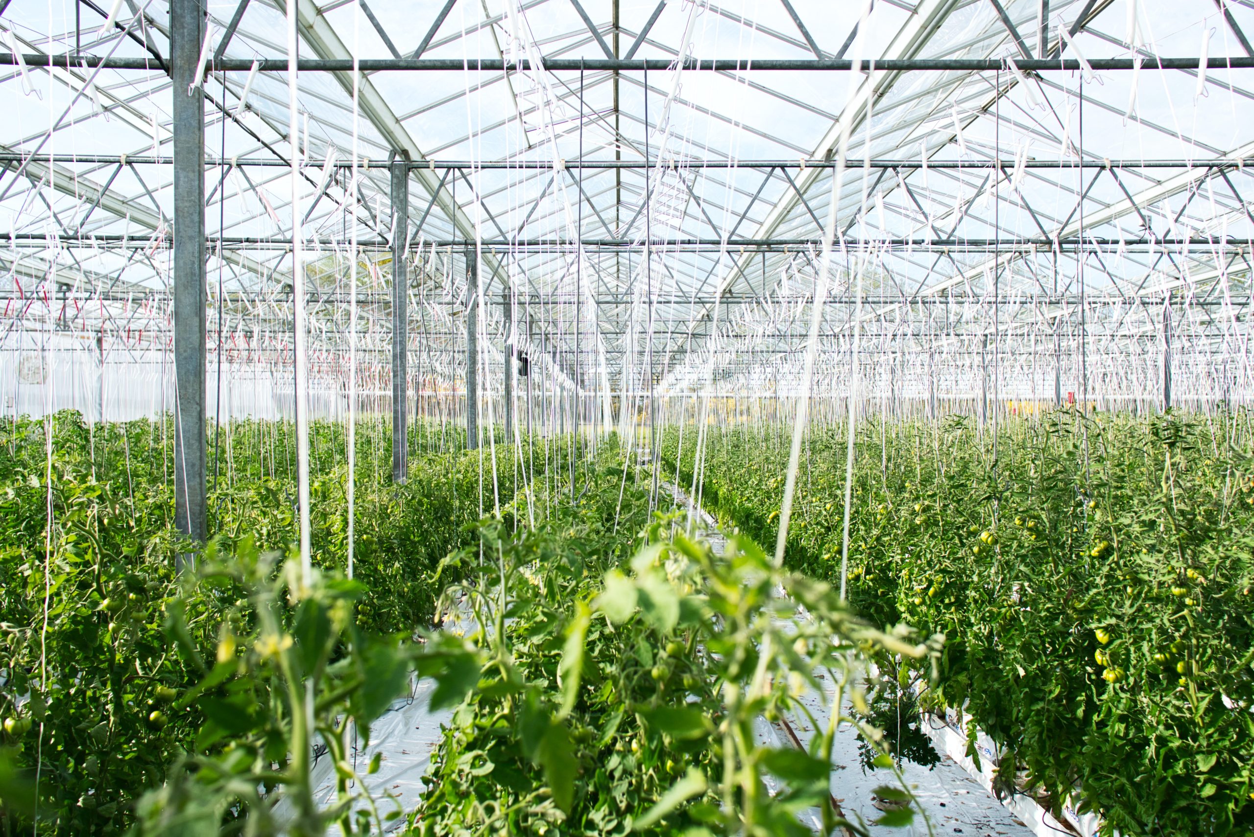 Agricultural Business